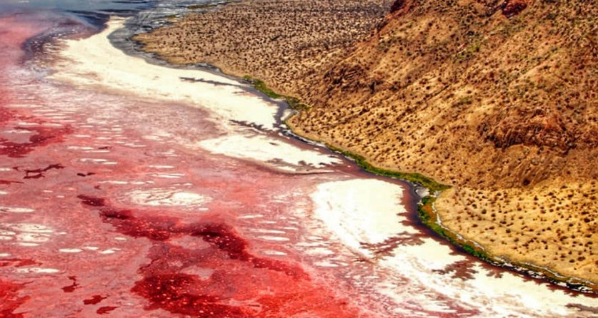 Danau Natron Danau Natron